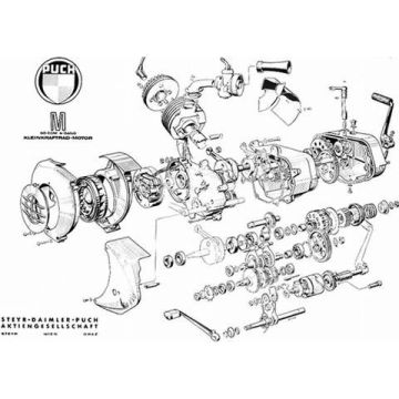 Poster Puch M - Motor (Export)