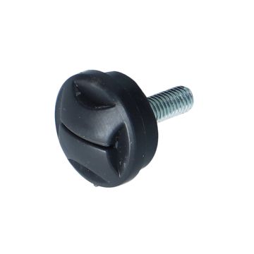 Verschlußschraube Vergaserverkleidung X50-4,-2,-3